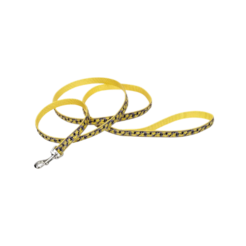 Coastal Pet Products Ribbon Dog Leash- Yellow Buttercup