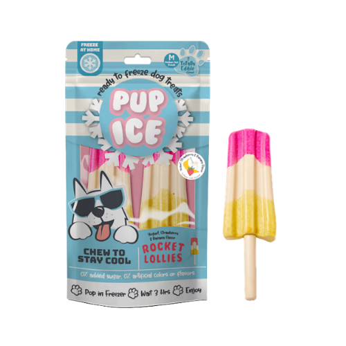 Nothin' To Hide Pup Ice Rocket Lollies Srawberry and Banana Dog Chew Treat 2 pk