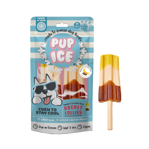 Nothin' To Hide Rocket Lollies Banana & Chocolate Dog Chew Treat 2 pk
