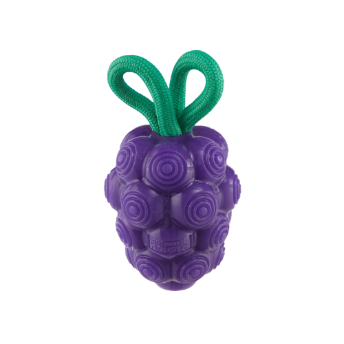 Outward Hound Dental Grapes Dental Chew Toy and Interactive Treat Stuffer Medium