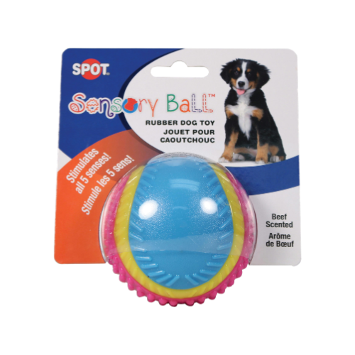 Spot Beef-Scented Sensory Ball Dog Toy 3.5 in