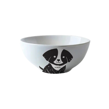 M-pets Oliver Cermaic Dog Bowl 