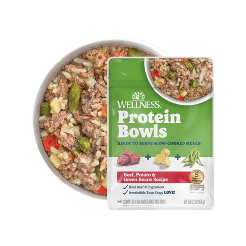 Wellness Protein Bowls Adult Whole Grains Beef, Potato & Green Beans Fresh Alternative Dog Food