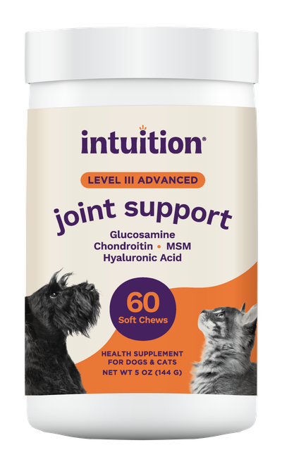 Intuition Level 3 Joint Support Soft Chew Health Supplement for Dogs & Cats 60 ct