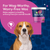 Naturvet Cranberry Relief Plus Echinacea Soft Dog Chews 60 ct