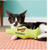 Yeowww Fish Catnip Pillow Cat Toy