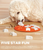 Outward Hound Smart Dog Bone Puzzle Game Dog Toy 