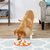 Outward Hound Smart Dog Bone Puzzle Game Dog Toy 