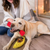 P.l.a.y. Camp K9 Kayak Dog Toy 