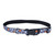 Coastal Pet Products Exclusive Styles Dog Collar