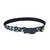 Coastal Pet Products Exclusive Styles Dog Collar