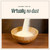Sustainably Yours Cat Litter Small-Grain Formula
