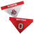 Pets First Ohio State University Reversible Dog Bandana