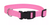 Coastal Pet Products Nylon Adjustable Dog Collar With Tuff Buckle