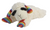 Multipet Lamb Chop Pride Plush Dog Toy 10.5 in