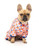 Fuzzyard Sleepy Time Dog Pajamas