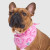 Canada Pooch Barbie Pink Tie Dye Pet Bandana