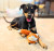 Kikkerland Flying Fox Plush Dog Toy 