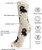 E&s Imports Pet Lover Socks Black Dachshund Dog, Unisex, One Size Fits Most 