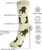 E&s Imports Pet Lover Socks Red Dachshund Dog, Unisex, One Size Fits Most 