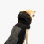 Silverpaw Bailey Dog Jacket