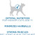 Purina ONE +Plus Indoor Advantage Senior Dry Cat Food 7 lb