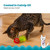 Catstages Strawberry Cat Dental Teether 