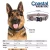 Coastal Pet Products Macho Dog Tactical Adjustable Dog Collar-Tan