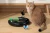 M-pets Halo Eco Interactive Cat Toy 
