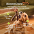 Woof Honest Chew Meaty Antler Durable Dog Chew