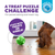 Outward Hound Orbee-Tuff Mazee Interactive Puzzle Dog Toy 