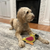 Spot Dura-Fuse Parrot Leather Dog Toy, Assorted 8 in