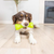 Chuckit! Bonze Crunch Beef-Flavored Crinkle Dog Chew Toy 