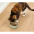 Open Farm Salmon and Cod Topper for Cats