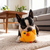 Kong Spring Snuzzles Kiddos Chick Plush Dog Toy Small