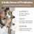 Skout's Honor Probiotic Deodorizing Spray Sandalwood & Vanilla Scent for Dogs 8 oz