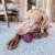 Tall Tails Natural Rubber Pinecone Reward Dog Toy 4 in