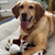 Lightning Dog Fuzzy Brown Cow Dog Toy 
