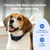 PetSafe Core Digital Bark Collar 