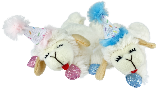 Multipet Lamb Chop Birthday Cat Toy 4 in - Chow Hound Pet Supplies