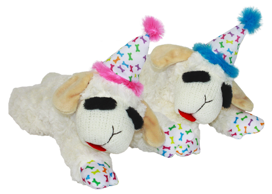 洋楽 Rup Dog 64080__16597.1669137918.png