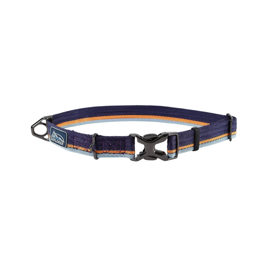 Coastal Pet Products K9 Explorer Reflective Adjustable Padded Dog