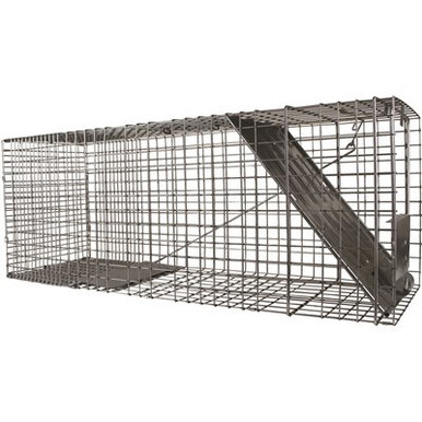 Woodstream Havahart Raccoon Size Humane Live Animal Trap Chow Hound