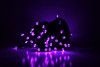 Outdoor LED Lighted Christmas Tree with Green Base and Purple Tree Lights
