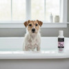Canine Cutie Conditioner for your fur baby princess. 2 ounces for little pups or travel.