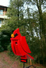 Cardinal wooden birdhouse in the woods
