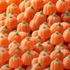 Bulk Orange flavored Sour Jelly Pumpkins are dusted with sanding sugar. Purchase online at harvestarray.com before they vanish.