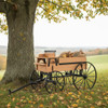 Large wooden decorative hitch wagon under a tree, filled with fall leaves and burlap sacks, set in a peaceful countryside landscape.