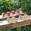Mini Wooden Roller Cars