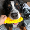 Ultra Durable Nylon Dog Chew Toys for Aggressive Chewers